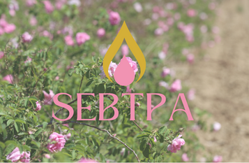SEBTPA